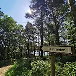 Big Grimstad